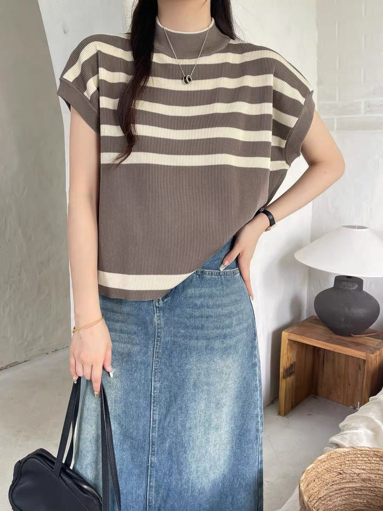 Turtle Neck Stripe Knitted Top