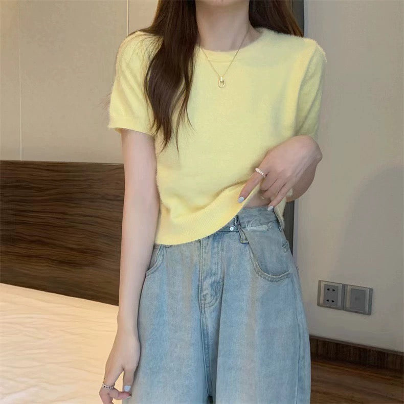 Fur Knitted Round Neck Short Sleeve Top