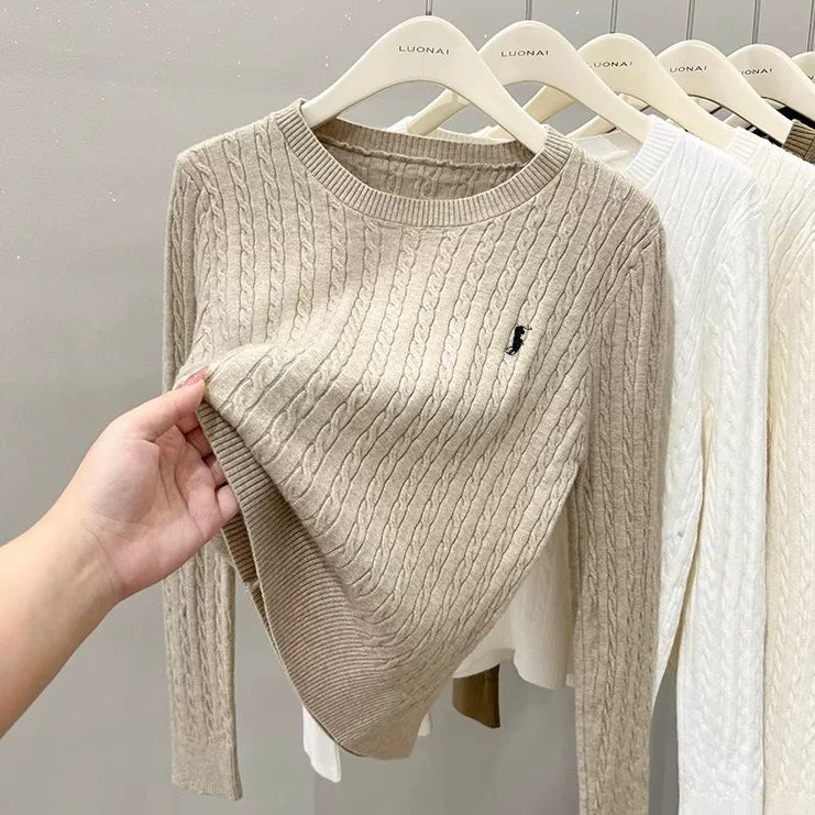 Braided Pattern Embroidery Long Sleeve Loose Soft Knitted Top