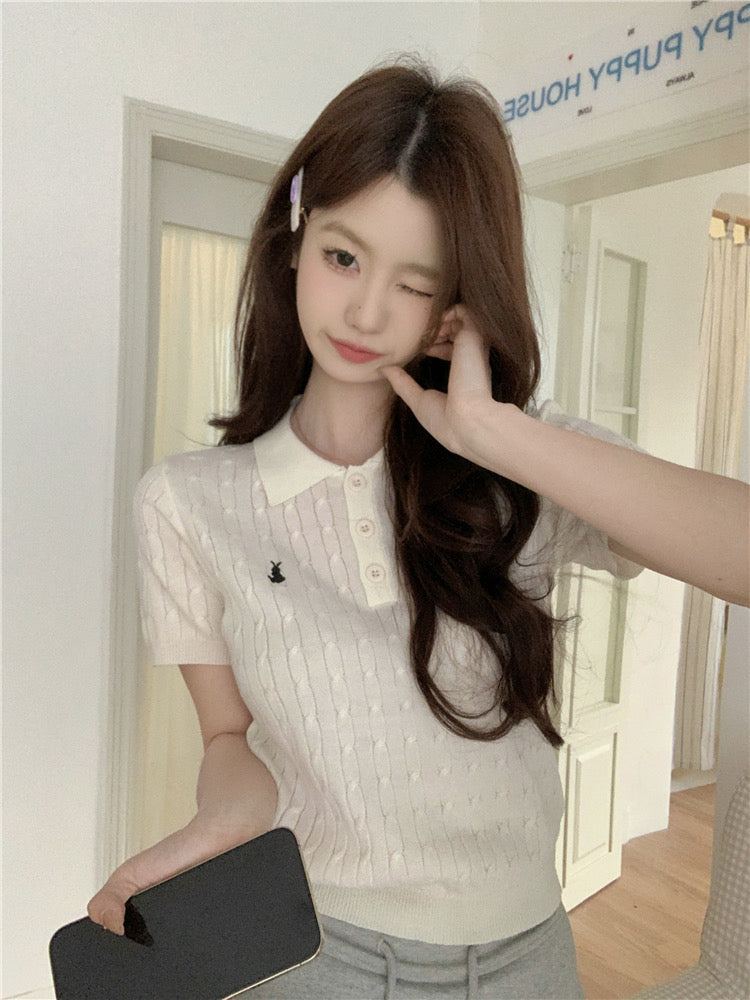 Button Down Collar Neck Braided Pattern Embroidery College Style Knitted Top