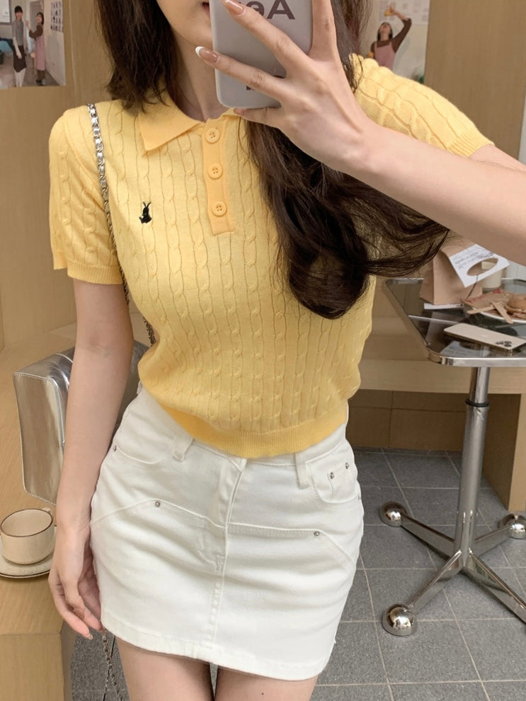 Button Down Collar Neck Braided Pattern Embroidery College Style Knitted Top