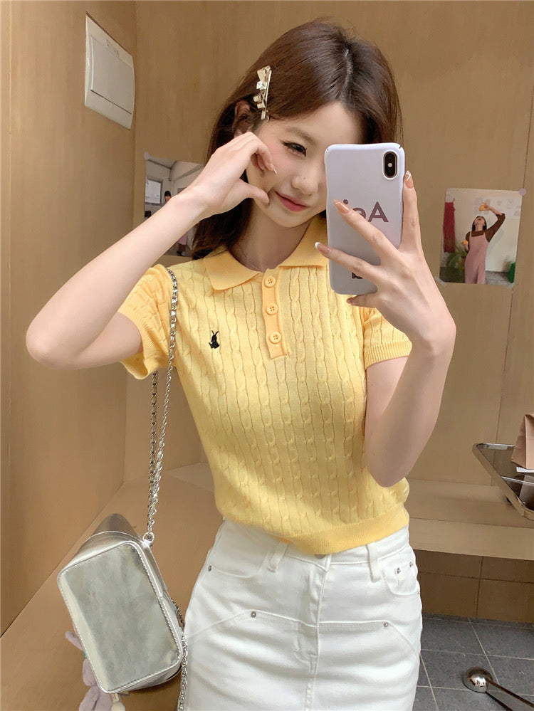 Button Down Collar Neck Braided Pattern Embroidery College Style Knitted Top