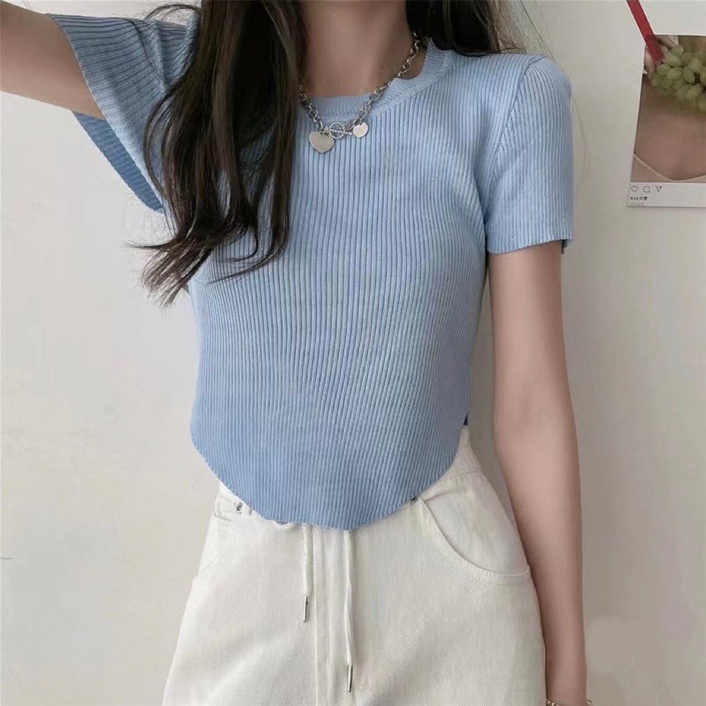 Oval Hem Solid Knitted Top