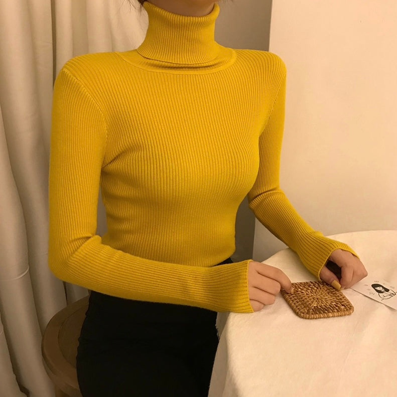 Turtle Neck All-match Solid Long Sleeve Soft Knitted Top
