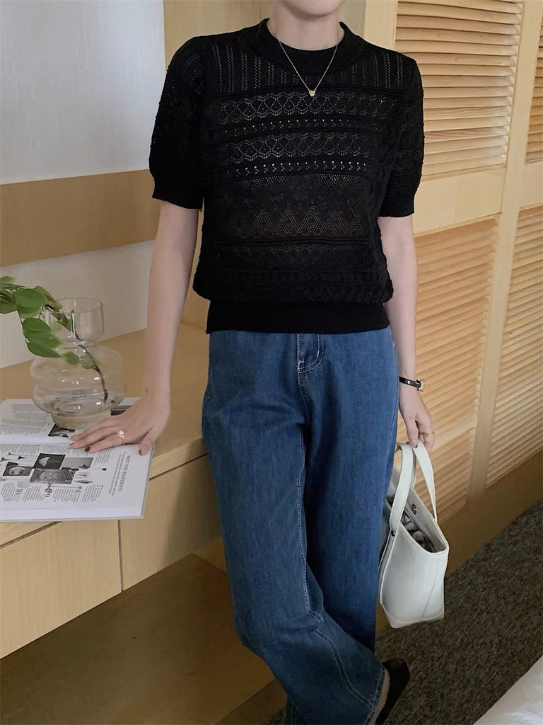 Eyelet Hollow Pattern Knitted Top