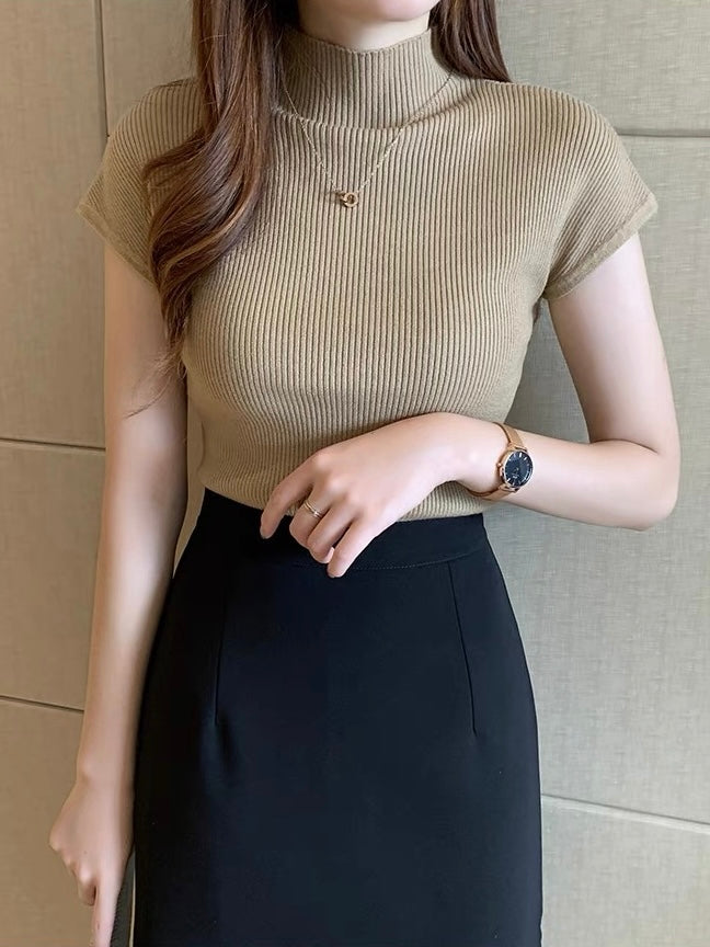 Turtle Neck Knitted Top