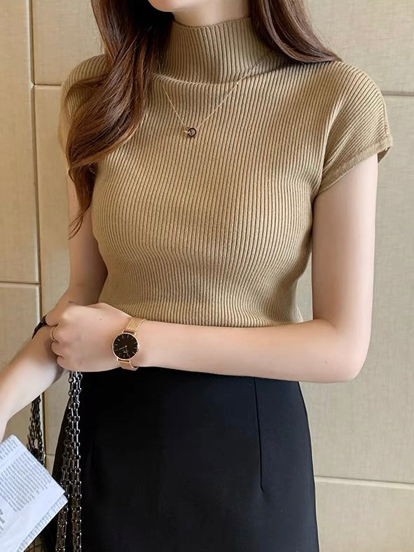 Turtle Neck Knitted Top